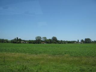 IMG_2231.JPG