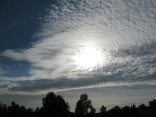 IMG_2148.JPG