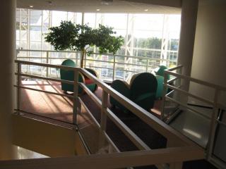 IMG_1910.JPG