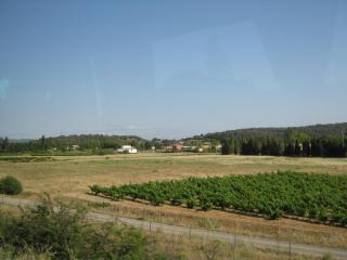 IMG_2545.JPG