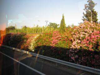 IMG_2556.JPG