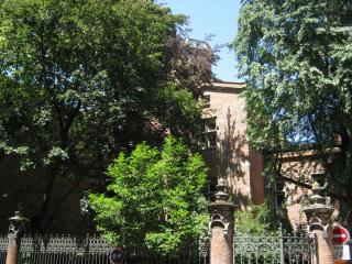 IMG_2400.JPG