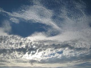 IMG_2161.JPG