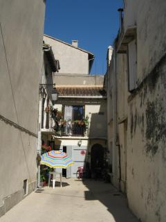 IMG_2893.jpg