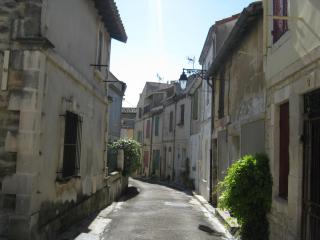 IMG_2904.JPG