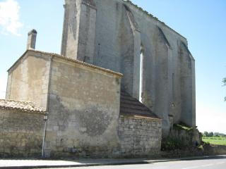 IMG_2249.JPG