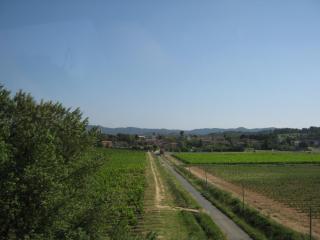 IMG_2535.JPG