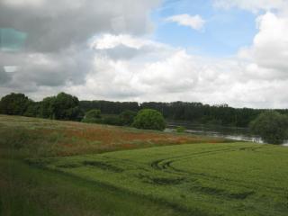 IMG_1569.JPG