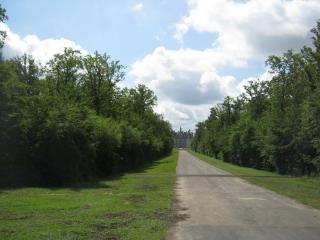 IMG_1553.JPG