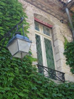 IMG_2484.jpg