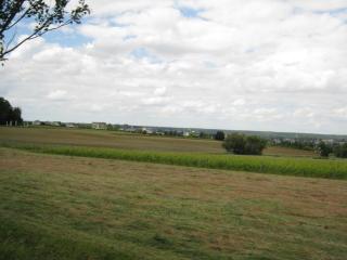 IMG_1768.JPG