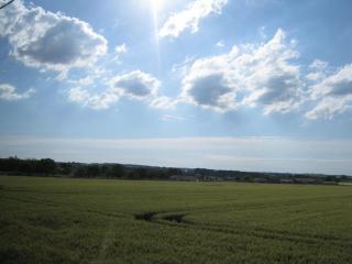 IMG_2130.JPG
