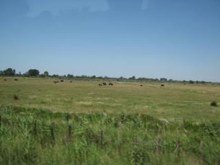 IMG_2735.JPG