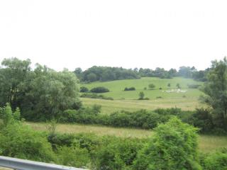 IMG_3359.JPG
