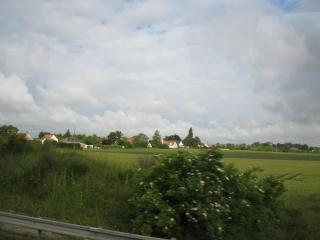 IMG_1413.JPG