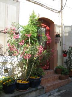 IMG_2903.jpg