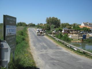 IMG_2753.JPG