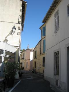 IMG_2890.jpg