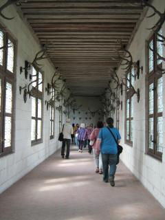 IMG_1519.jpg