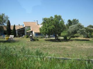 IMG_2747.JPG