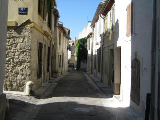 IMG_2923.JPG