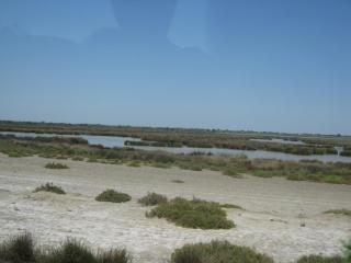IMG_2789.JPG
