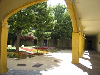 IMG_2852.JPG