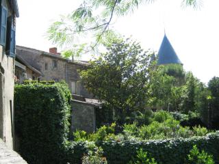 IMG_2510.JPG