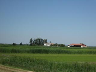 IMG_2729.JPG