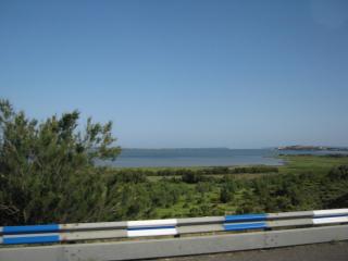 IMG_2550.JPG