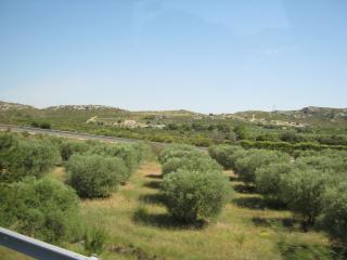 IMG_2725.JPG