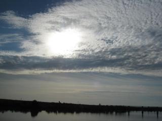 IMG_2154.JPG