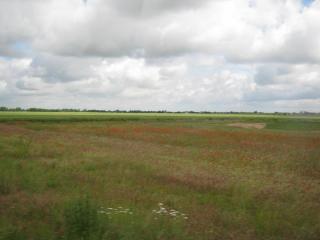IMG_1554.JPG