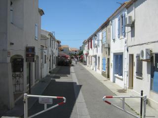 IMG_2765.JPG