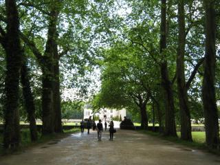 IMG_1639.JPG