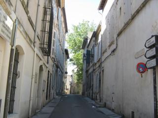 IMG_2870.JPG