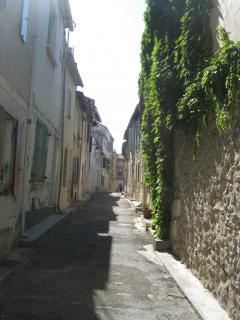 IMG_2914.jpg