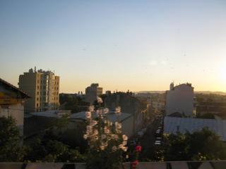 IMG_2574.JPG