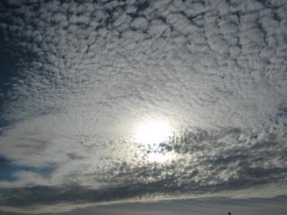 IMG_2146.JPG