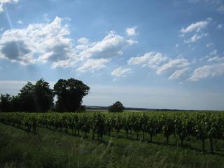 IMG_2127.JPG