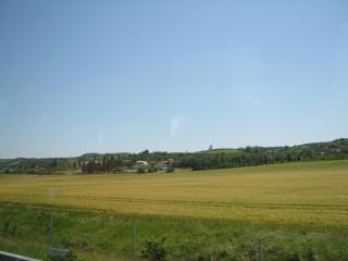 IMG_2419.JPG