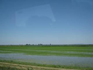 IMG_2728.JPG