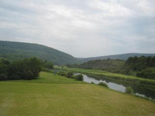 IMG_3383.JPG