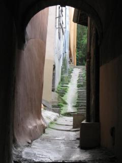 IMG_3130.jpg