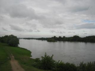 IMG_1429.JPG