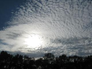 IMG_2149.JPG