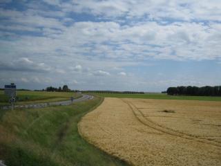 IMG_1795.JPG