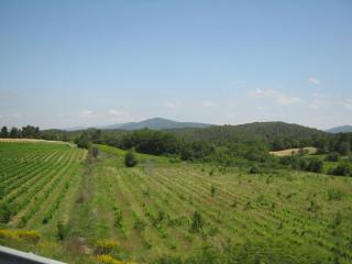 IMG_2446.JPG