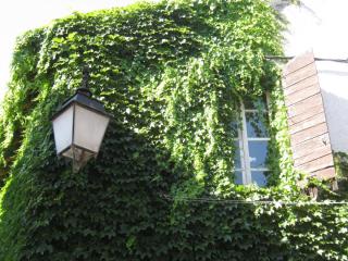 IMG_2912.JPG