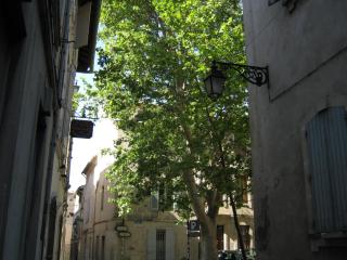 IMG_2876.JPG